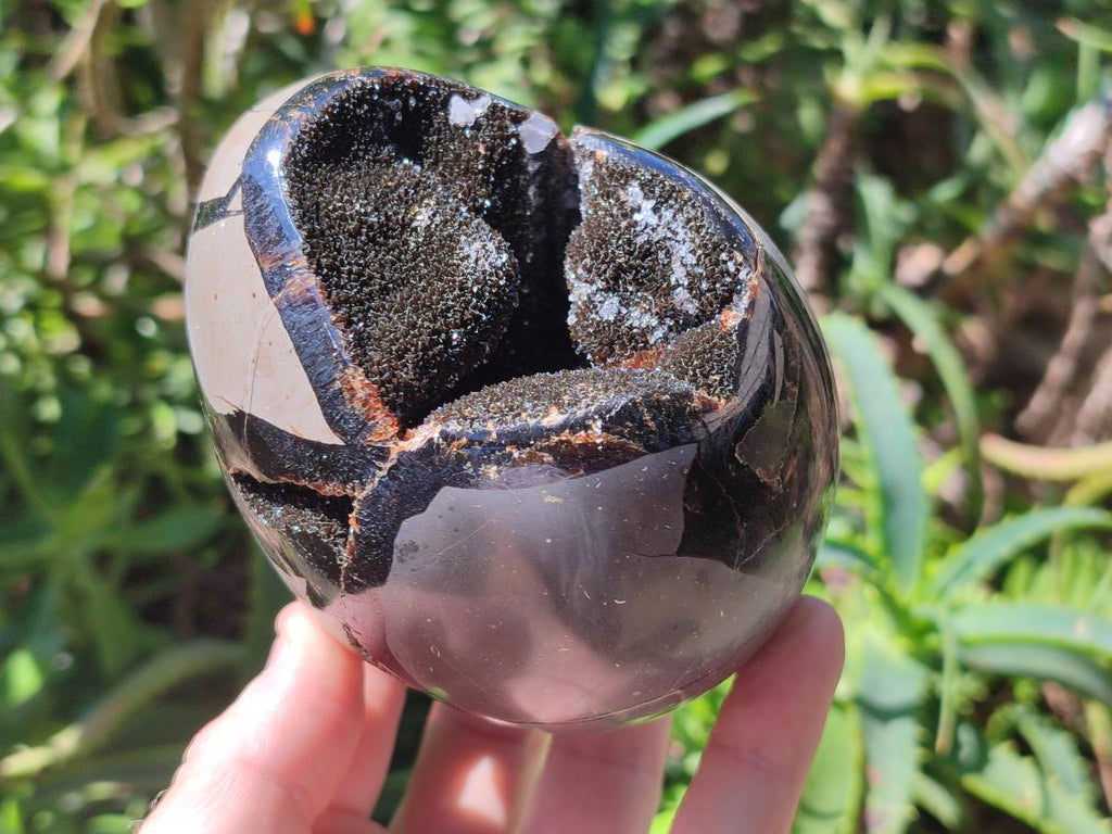 Polished Septerye Sauvage "Dragons Egg" Geodes x 2 From Mahajanga, Madagascar