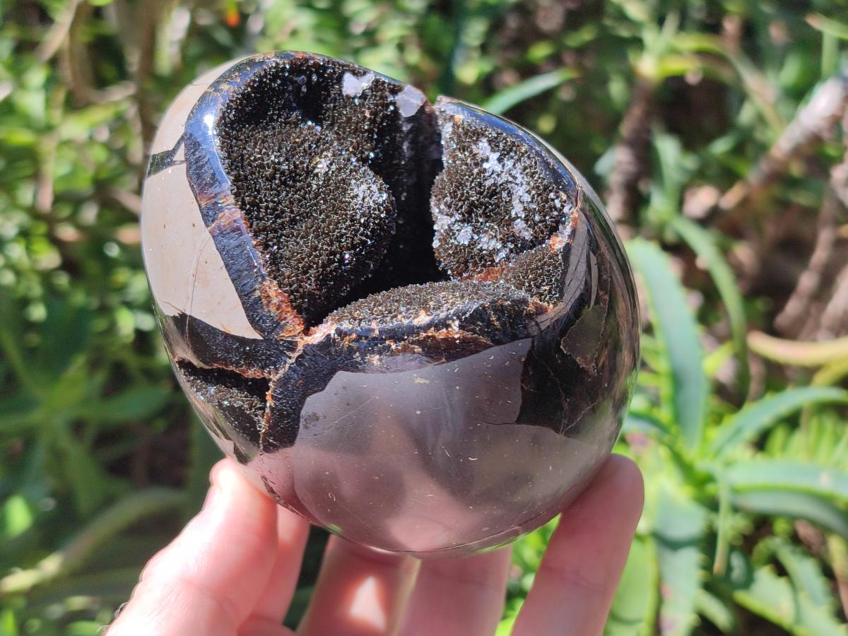 Polished Septerye Sauvage "Dragons Egg" Geodes x 2 From Mahajanga, Madagascar