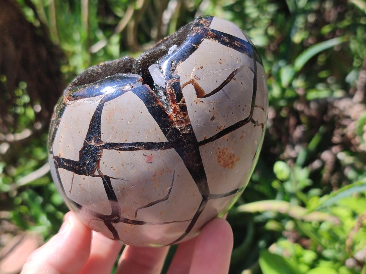Polished Septerye Sauvage "Dragons Egg" Geodes x 2 From Mahajanga, Madagascar