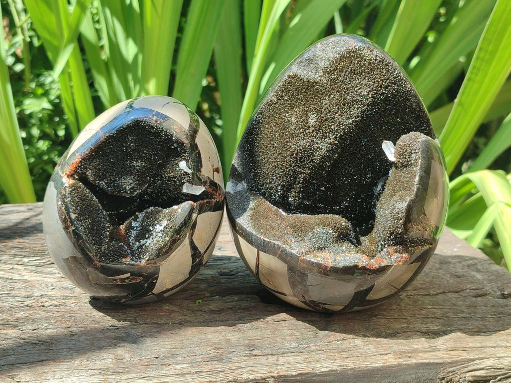 Polished Septerye Sauvage "Dragons Egg" Geodes x 2 From Mahajanga, Madagascar