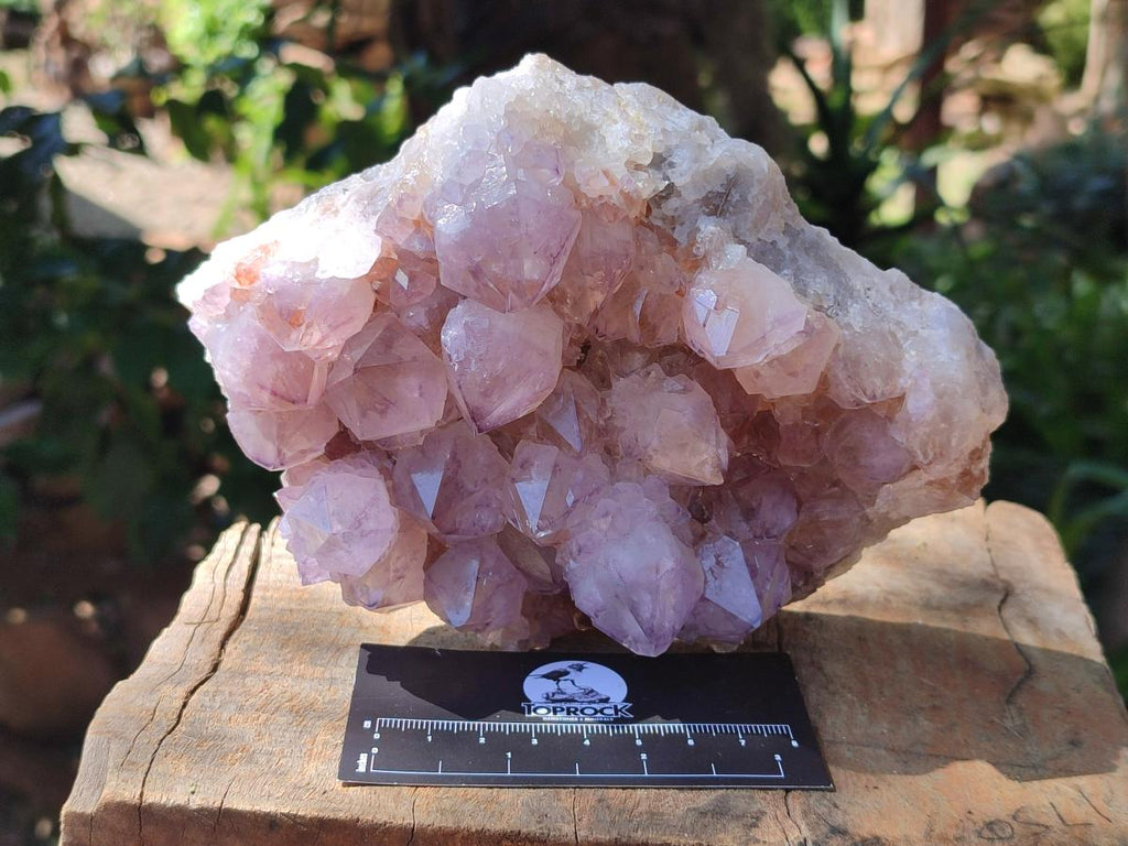 Natural Amethyst Spirit Clusters x 2 From Boekenhouthoek, South Africa