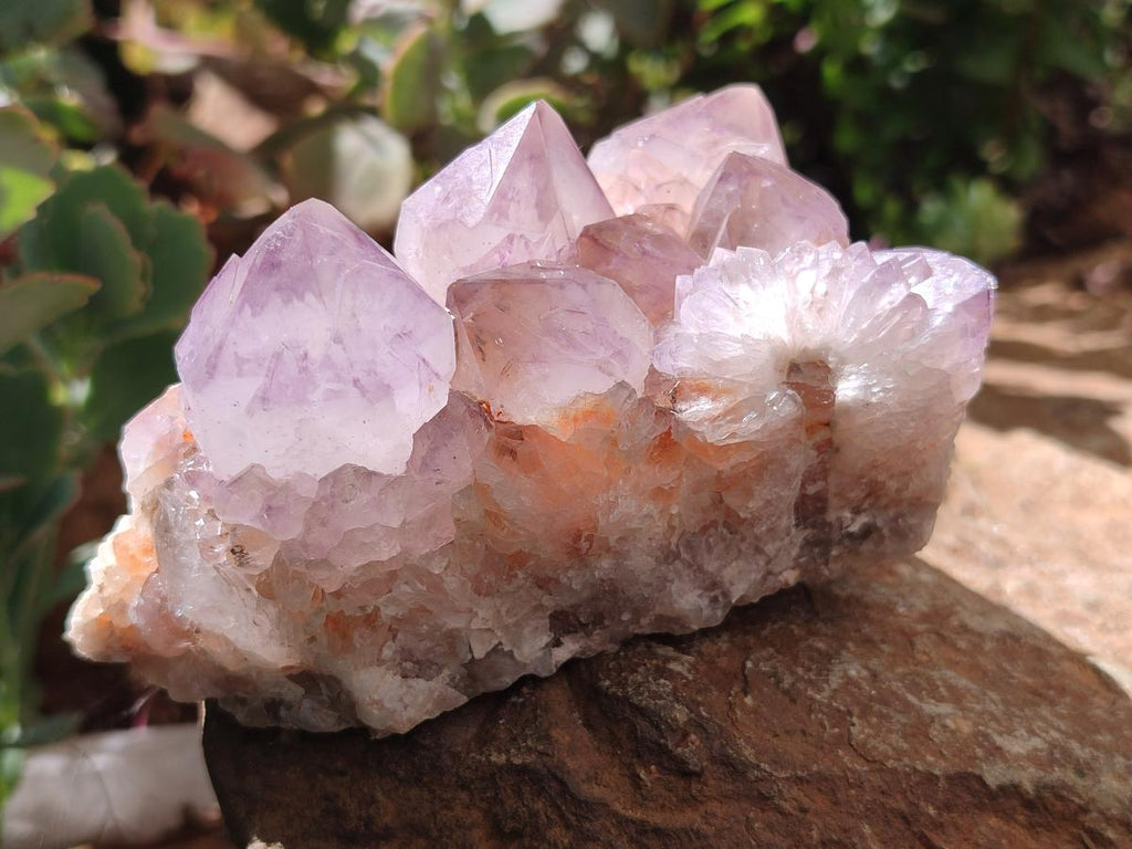 Natural Amethyst Spirit Clusters x 2 From Boekenhouthoek, South Africa