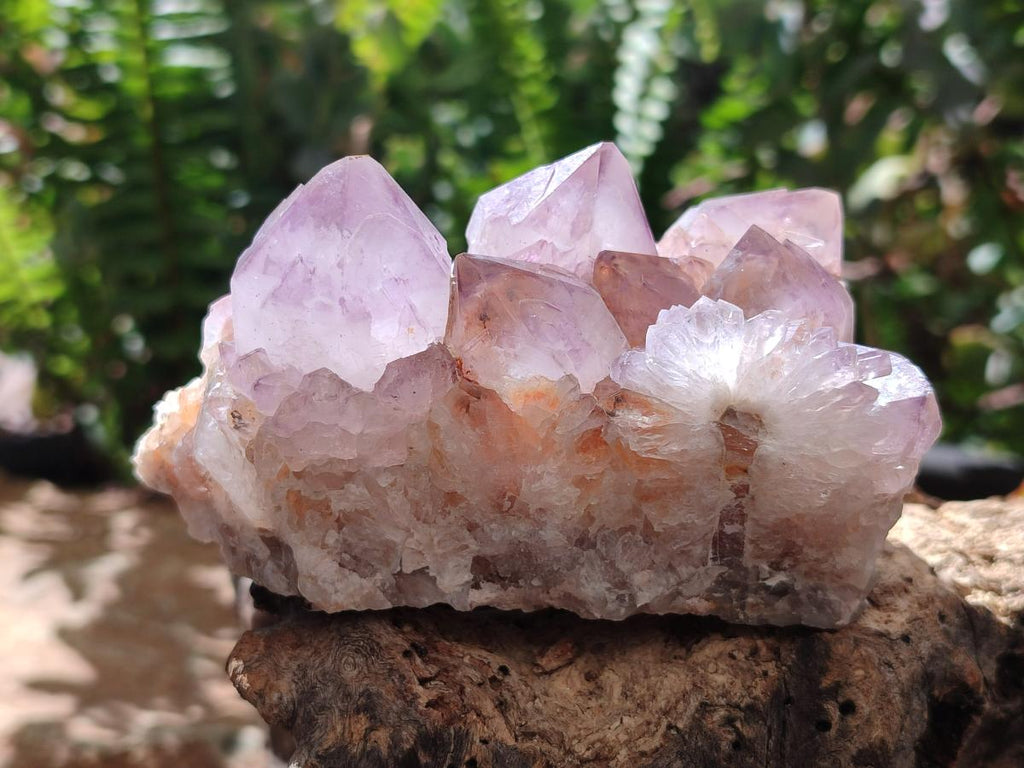 Natural Amethyst Spirit Clusters x 2 From Boekenhouthoek, South Africa