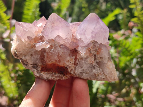 Natural Amethyst Spirit Clusters x 2 From Boekenhouthoek, South Africa