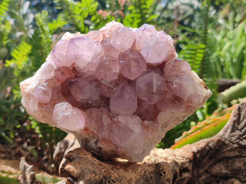 Natural Amethyst Spirit Clusters x 2 From Boekenhouthoek, South Africa