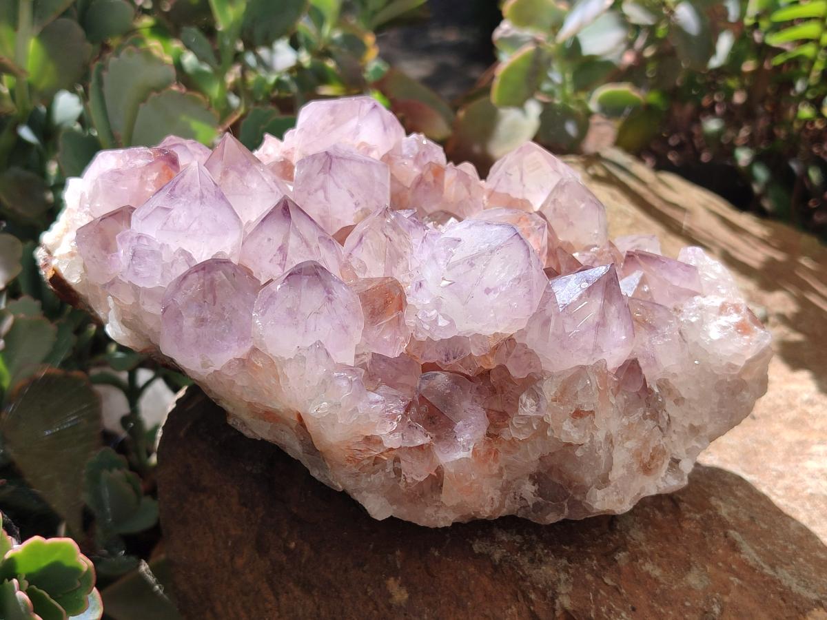 Natural Amethyst Spirit Clusters x 2 From Boekenhouthoek, South Africa