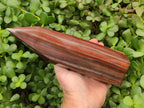 Polished Banded Tiger Iron Display Crystal x 1 From South Africa