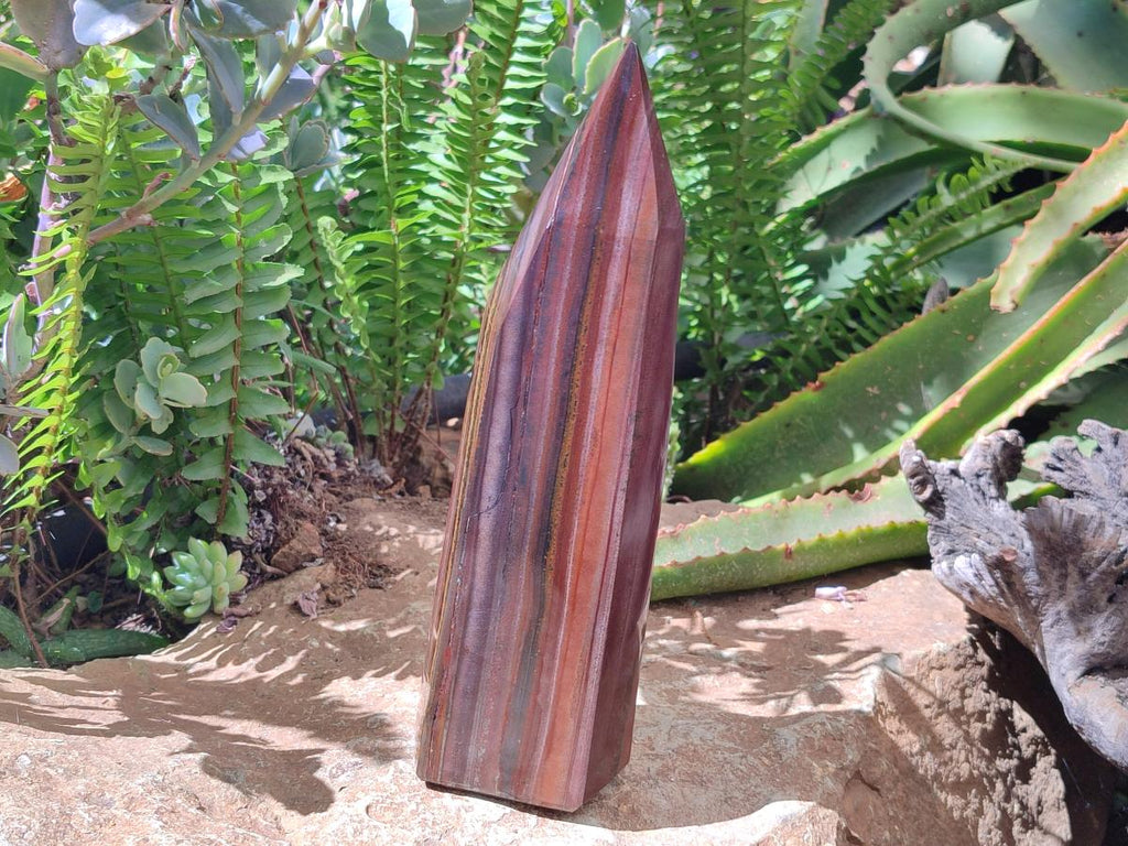 Polished Banded Tiger Iron Display Crystal x 1 From South Africa