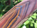 Polished Banded Tiger Iron Display Crystal x 1 From South Africa