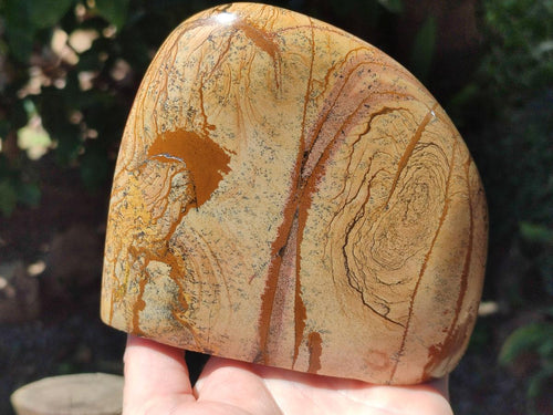 Polished Picture Stone Jasper Standing Free Forms x 2 From Ais-Ais, Namibia