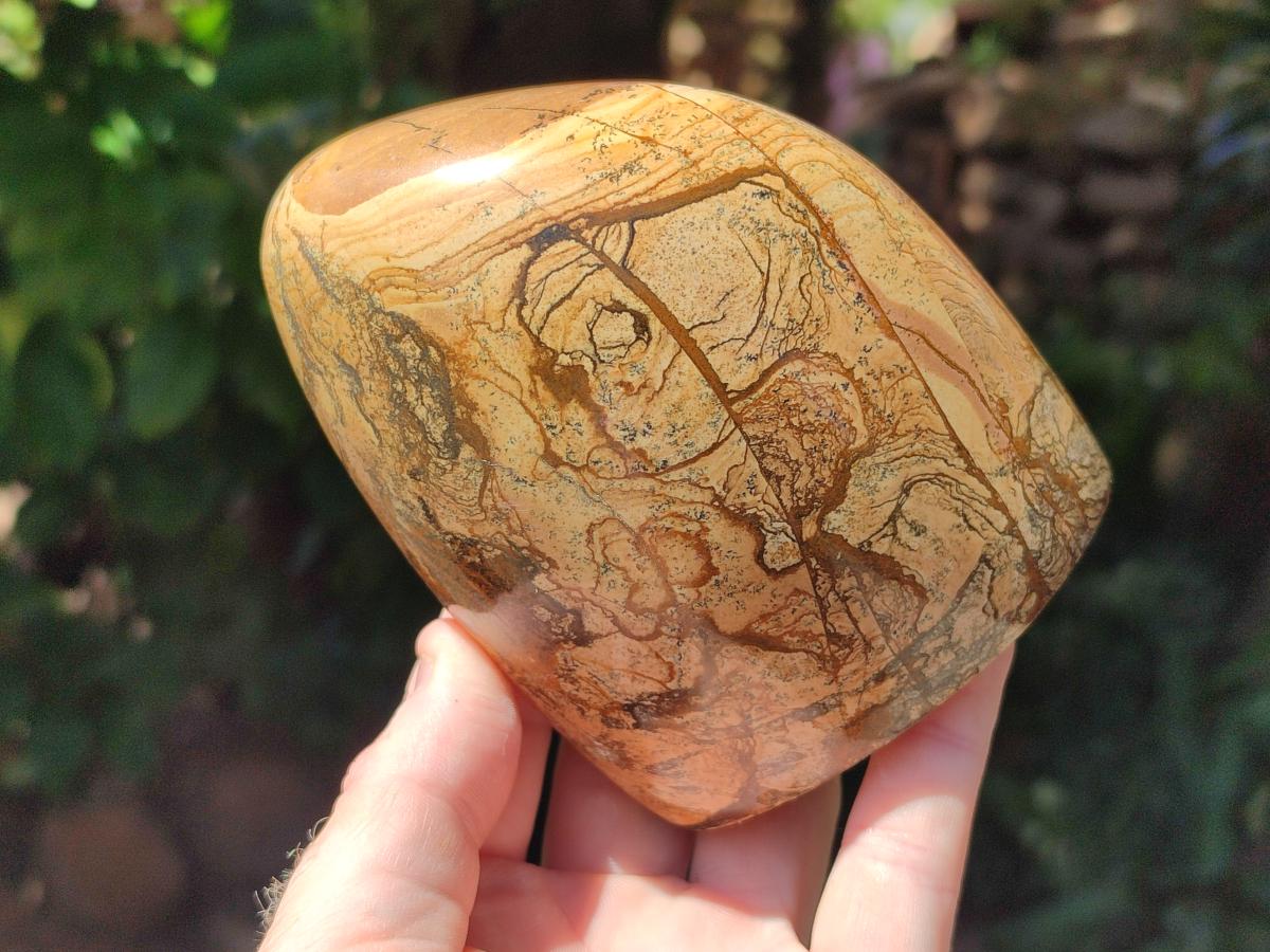 Polished Picture Stone Jasper Standing Free Forms x 2 From Ais-Ais, Namibia