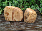 Polished Picture Stone Jasper Standing Free Forms x 2 From Ais-Ais, Namibia