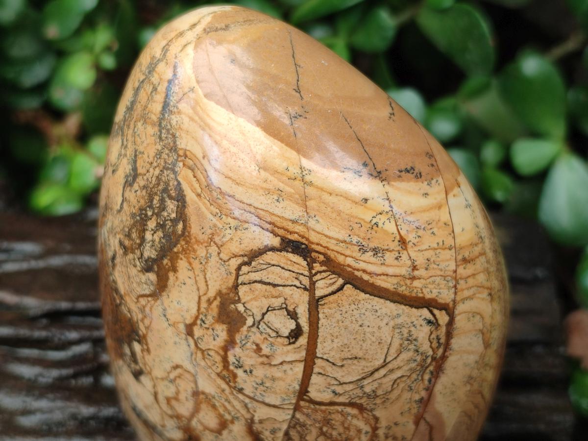 Polished Picture Stone Jasper Standing Free Forms x 2 From Ais-Ais, Namibia