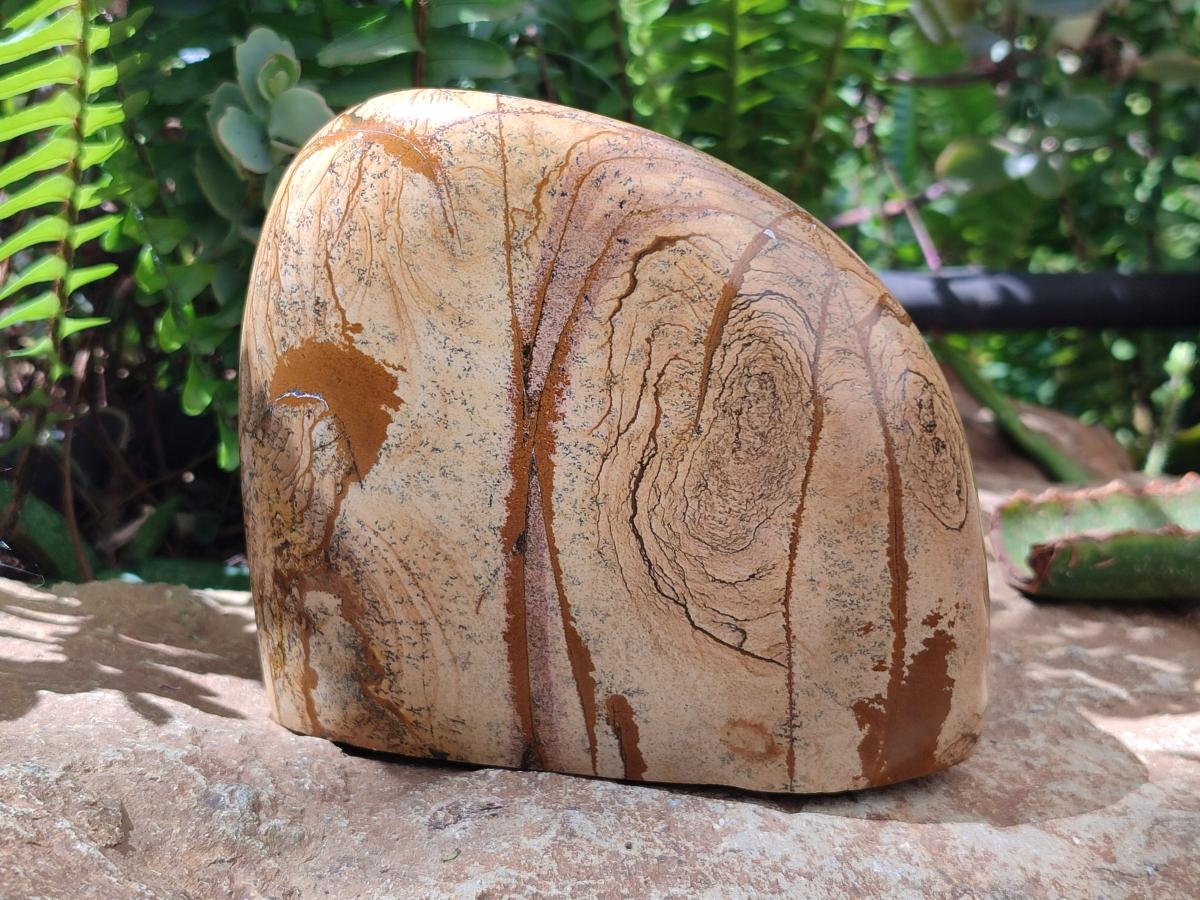 Polished Picture Stone Jasper Standing Free Forms x 2 From Ais-Ais, Namibia