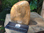 Polished Picture Stone Jasper Standing Free Forms x 2 From Ais-Ais, Namibia