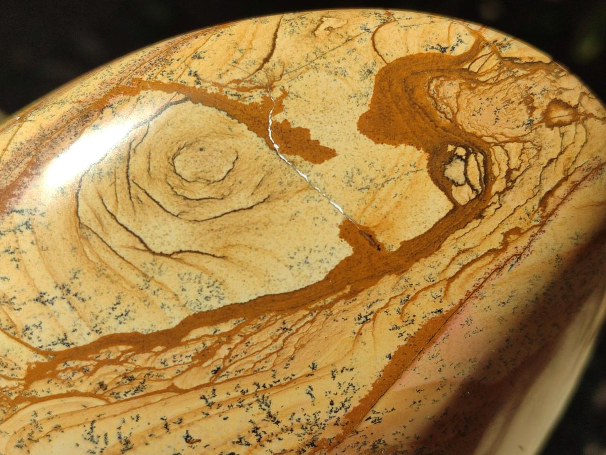 Polished Picture Stone Jasper Standing Free Forms x 2 From Ais-Ais, Namibia