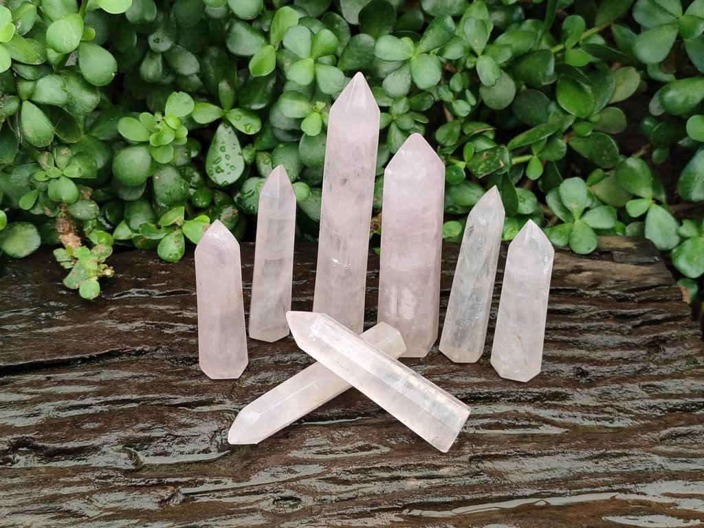 Polished Long Thin Gemmy Rose Quartz Crystals x 8 From Madagascar