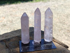Polished Long Thin Gemmy Rose Quartz Crystals x 8 From Madagascar