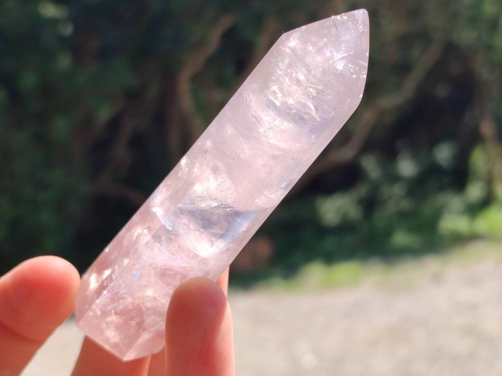 Polished Long Thin Gemmy Rose Quartz Crystals x 8 From Madagascar