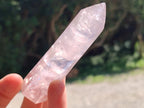 Polished Long Thin Gemmy Rose Quartz Crystals x 8 From Madagascar
