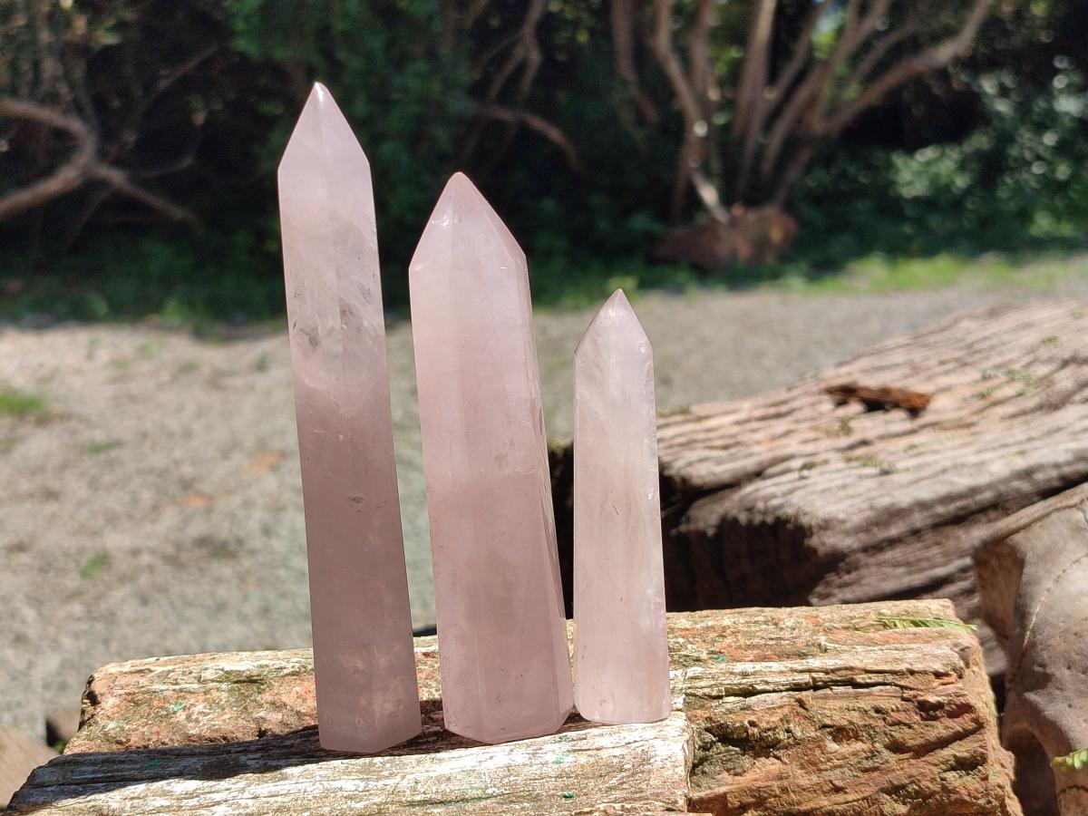 Polished Long Thin Gemmy Rose Quartz Crystals x 8 From Madagascar