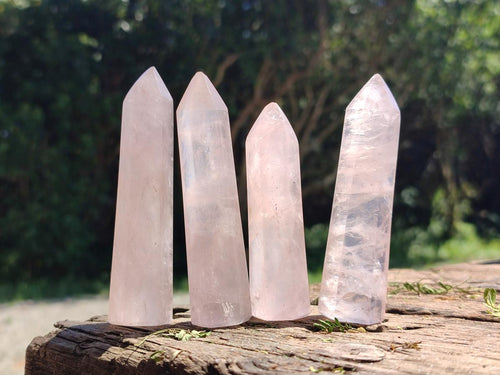 Polished Long Thin Gemmy Rose Quartz Crystals x 8 From Madagascar