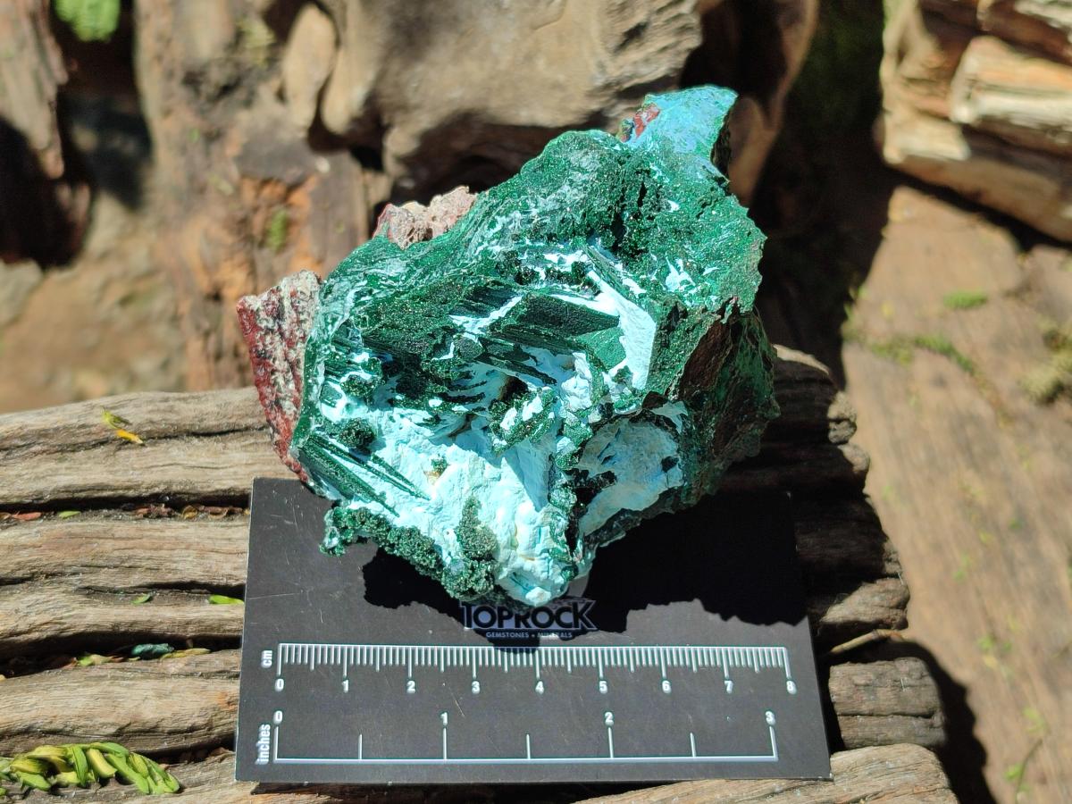 Natural Drusy Coated Chrysocolla Specimens x 6 From Lupoto Mine, Congo
