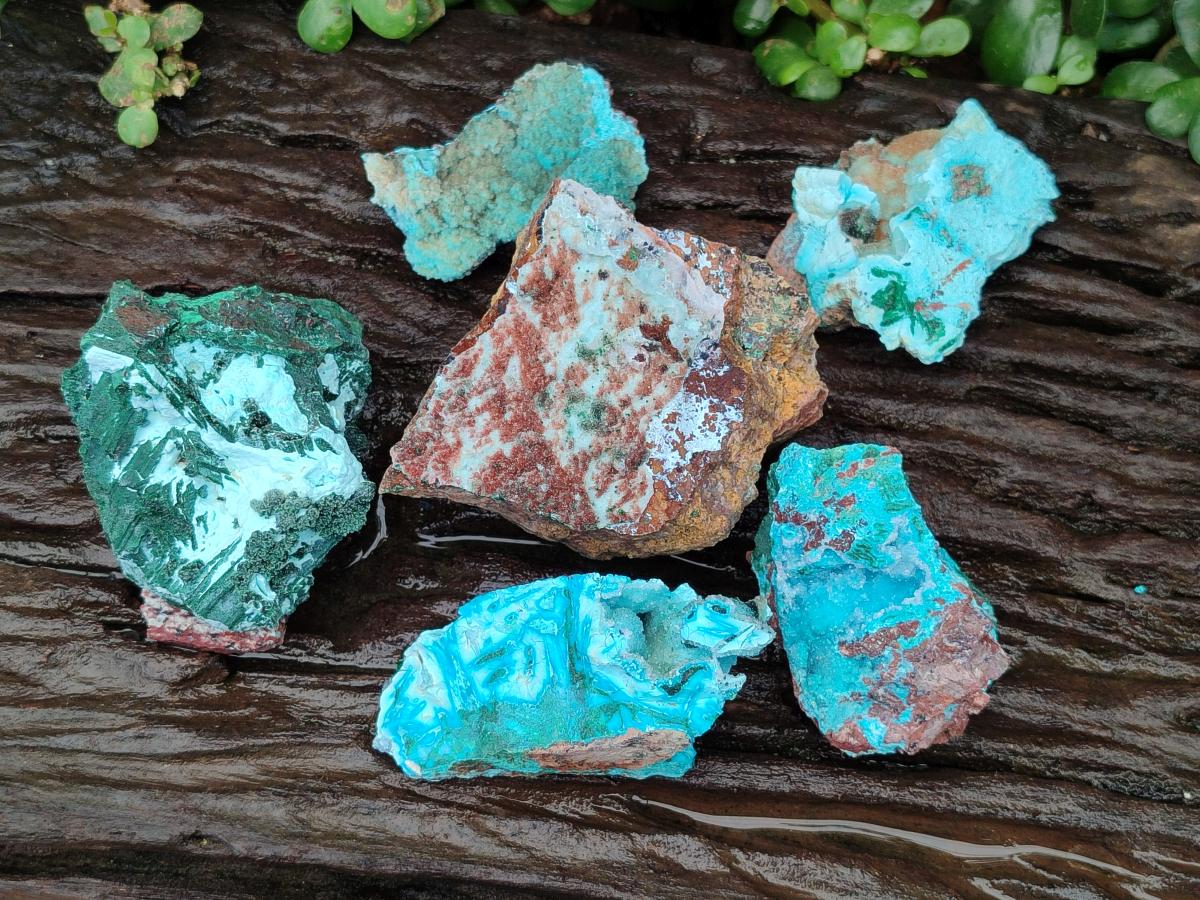 Natural Drusy Coated Chrysocolla Specimens x 6 From Lupoto Mine, Congo
