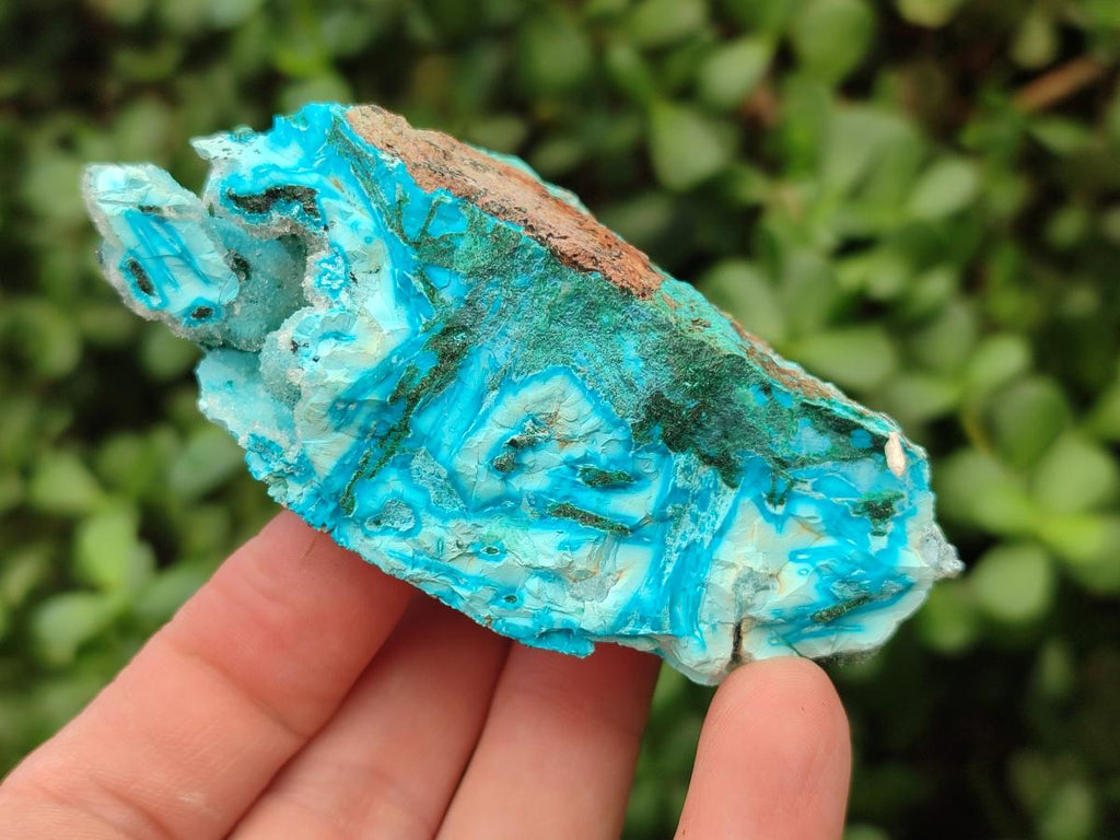 Natural Drusy Coated Chrysocolla Specimens x 6 From Lupoto Mine, Congo