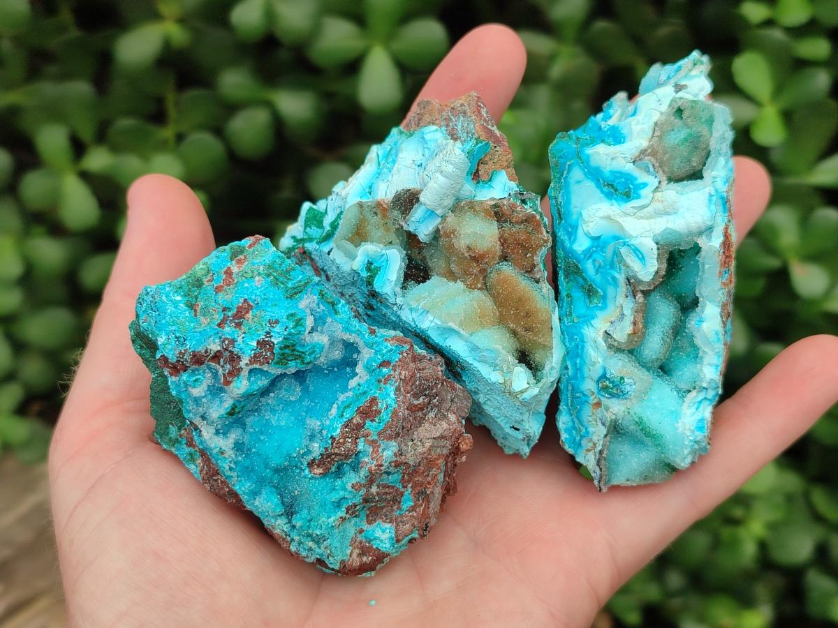 Natural Drusy Coated Chrysocolla Specimens x 6 From Lupoto Mine, Congo