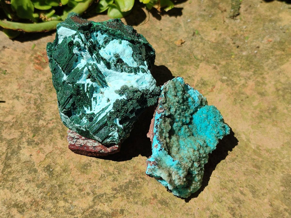 Natural Drusy Coated Chrysocolla Specimens x 6 From Lupoto Mine, Congo