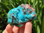 Natural Drusy Coated Chrysocolla Specimens x 6 From Lupoto Mine, Congo