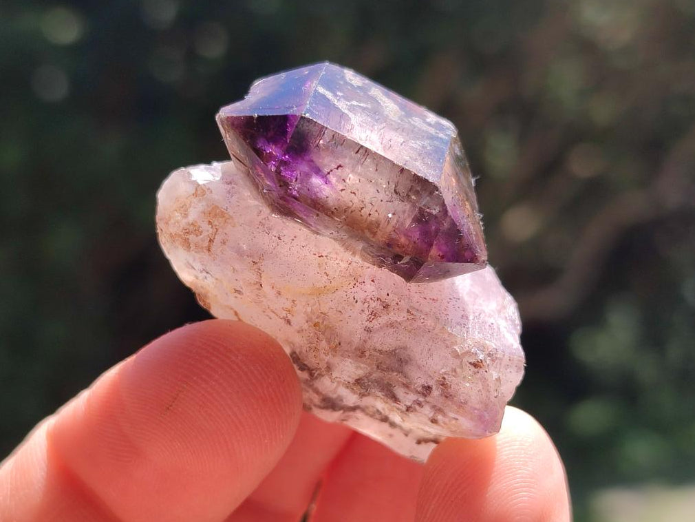 Natural Window Amethyst Crystals x 35 From Chiredzi, Zimbabwe