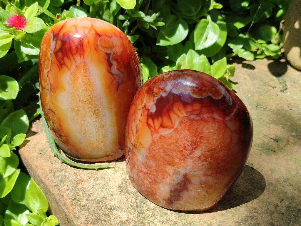 Polished Carnelian Agate Gemstone Standing Free Forms x 2 From Madagascar