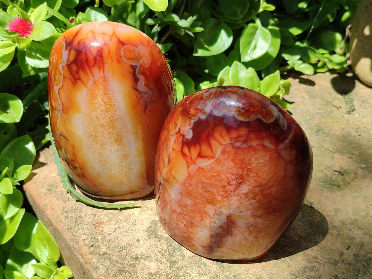 Polished Carnelian Agate Gemstone Standing Free Forms x 2 From Madagascar