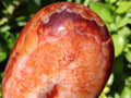 Polished Carnelian Agate Gemstone Standing Free Forms x 2 From Madagascar