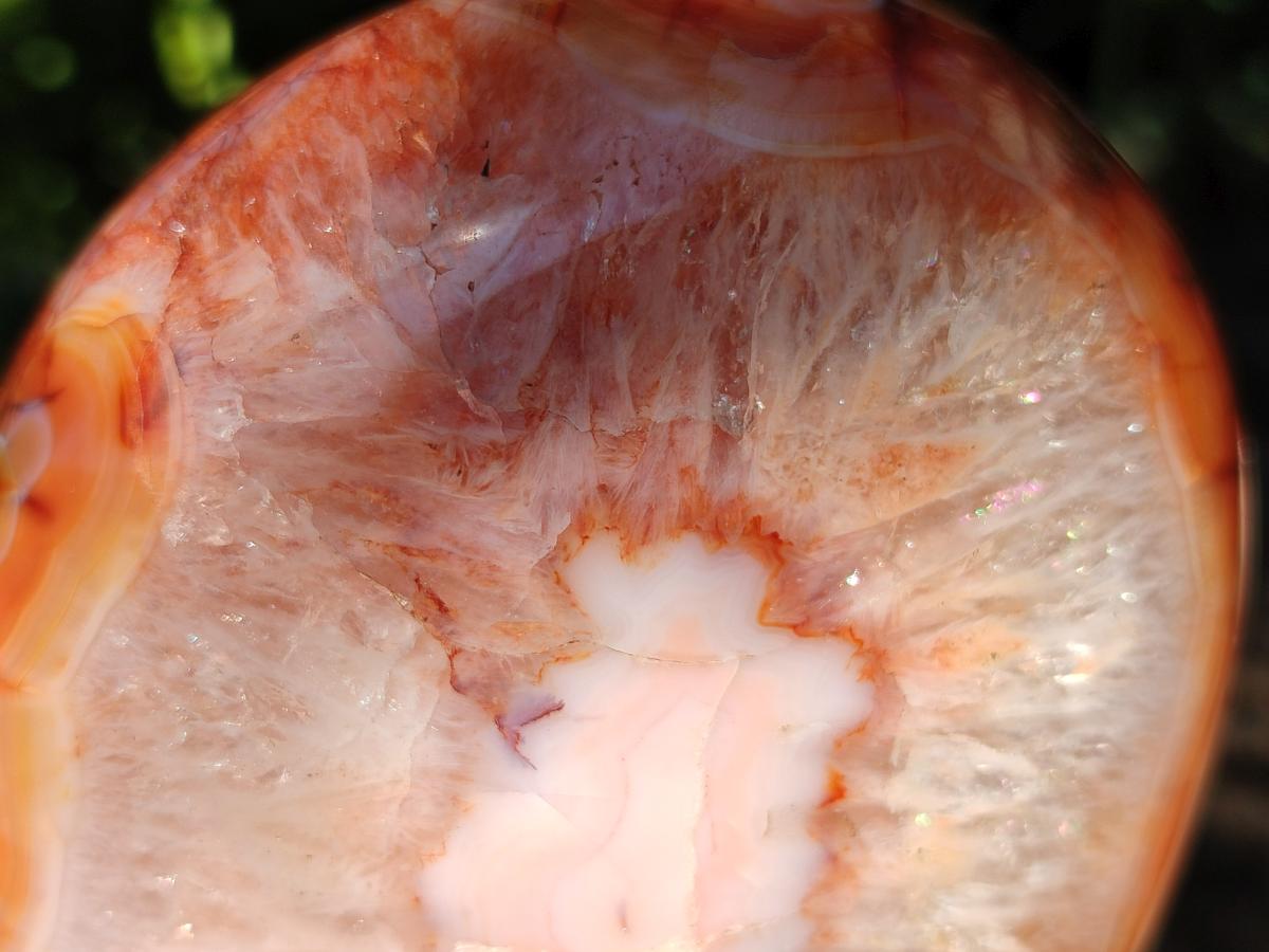 Polished Carnelian Agate Gemstone Standing Free Forms x 2 From Madagascar