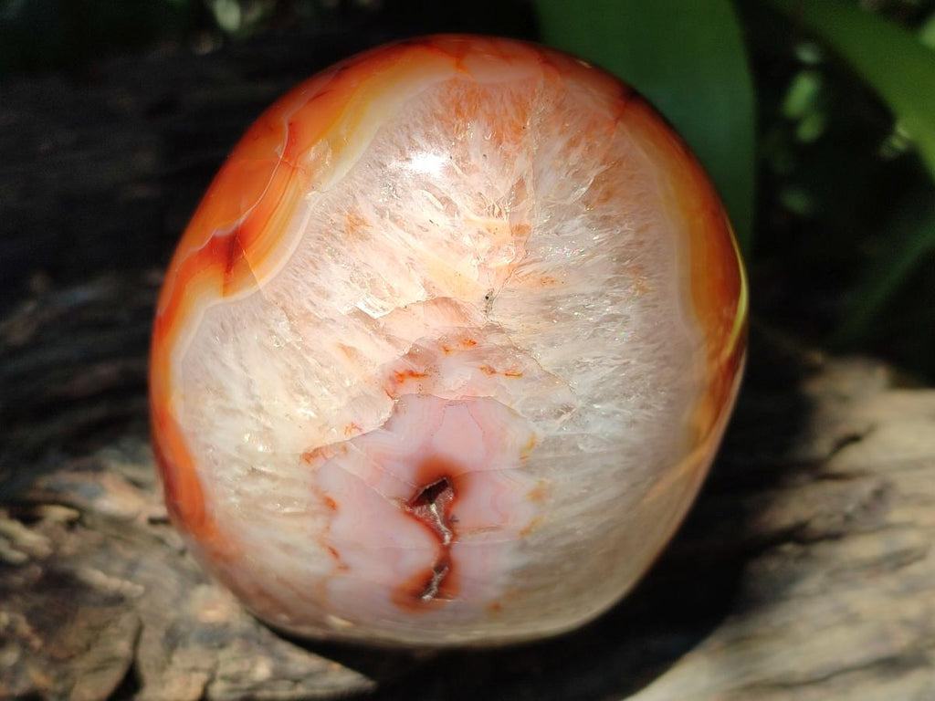 Polished Carnelian Agate Gemstone Standing Free Forms x 2 From Madagascar
