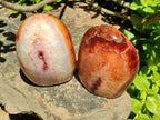 Polished Carnelian Agate Gemstone Standing Free Forms x 2 From Madagascar