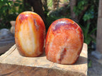 Polished Carnelian Agate Gemstone Standing Free Forms x 2 From Madagascar
