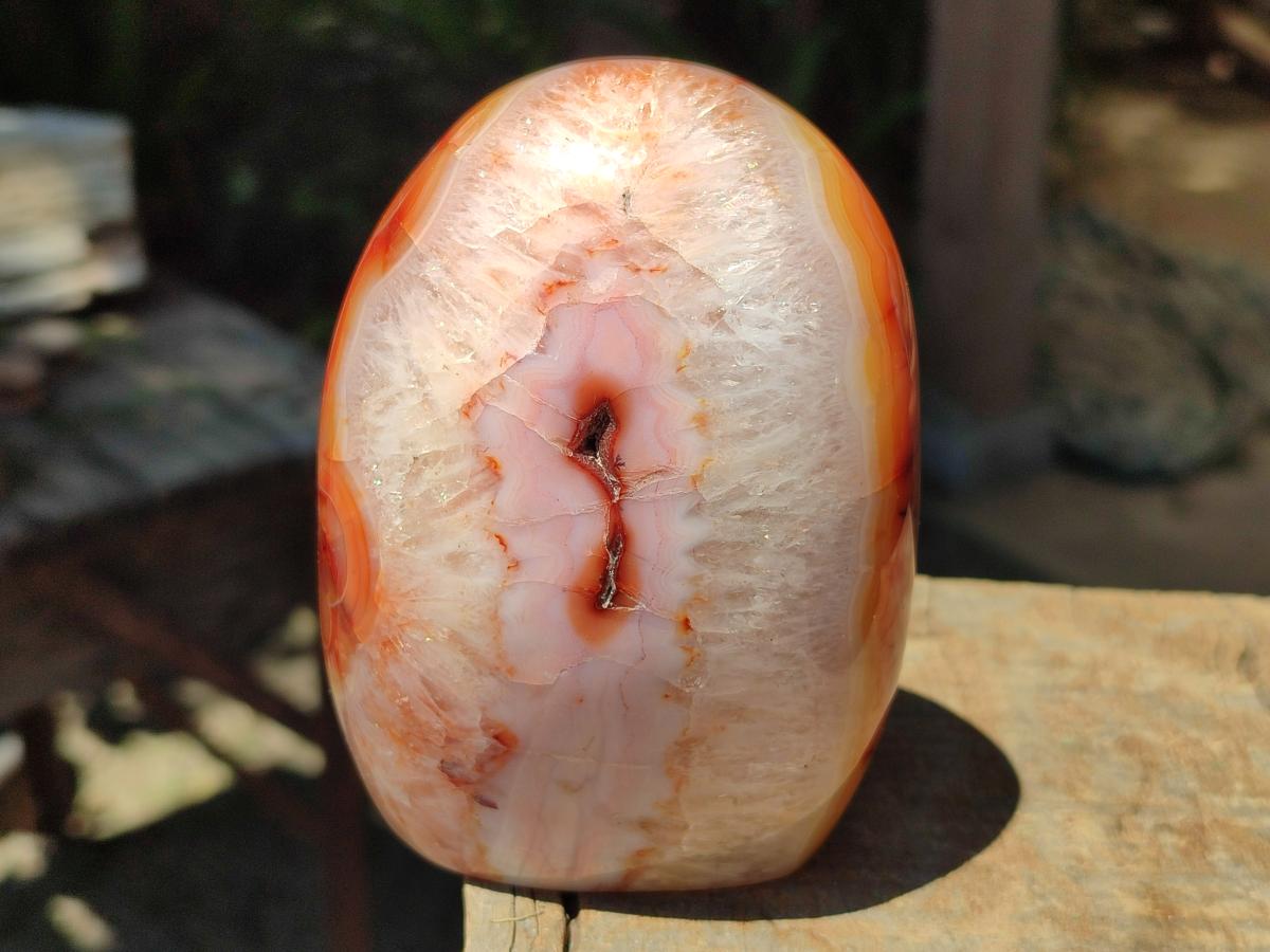 Polished Carnelian Agate Gemstone Standing Free Forms x 2 From Madagascar