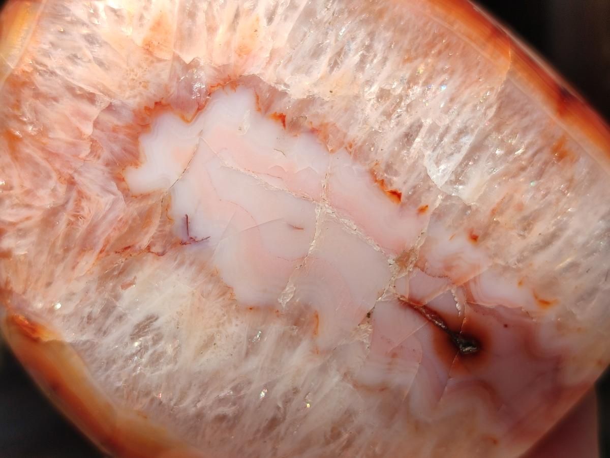 Polished Carnelian Agate Gemstone Standing Free Forms x 2 From Madagascar