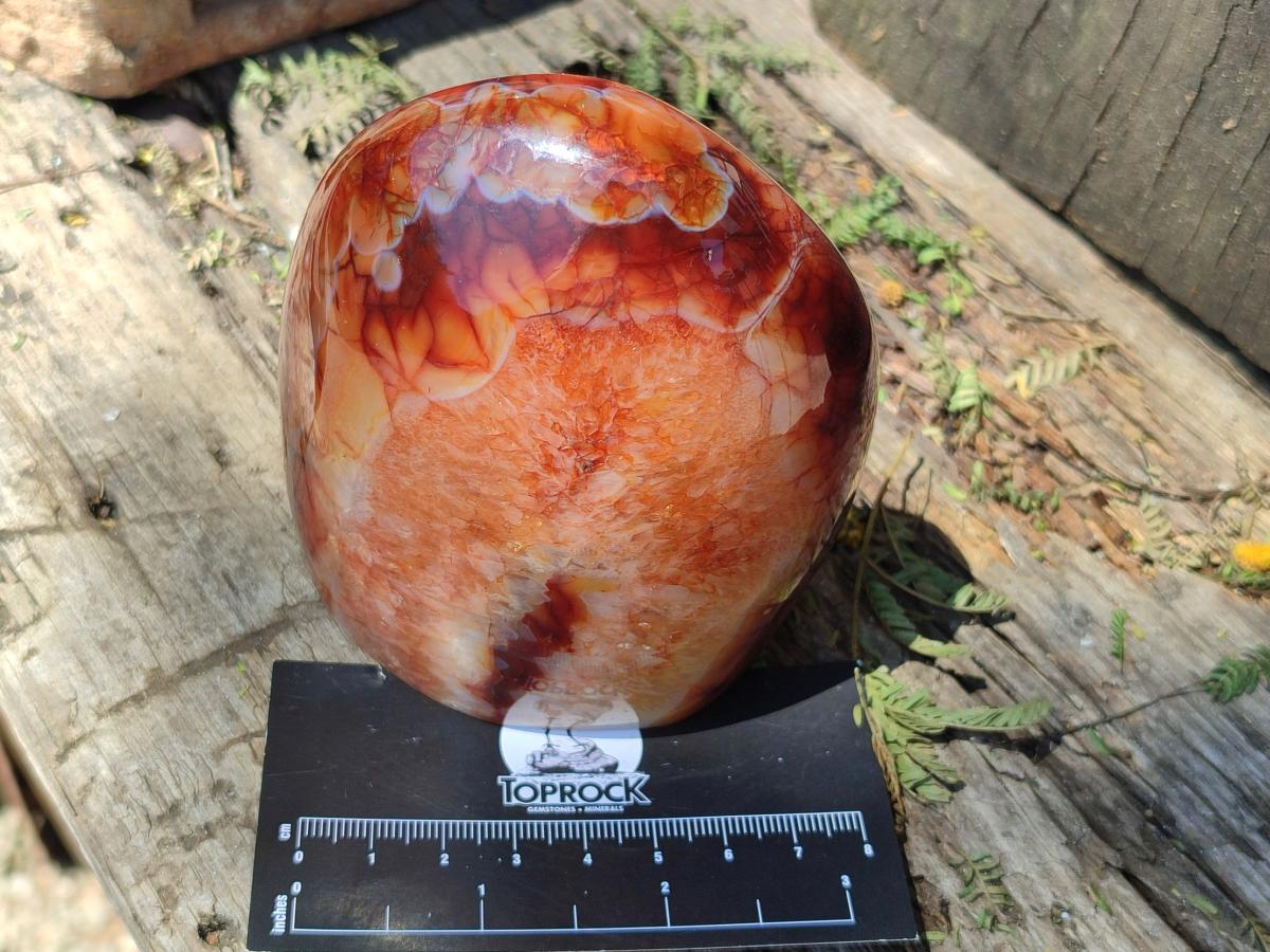 Polished Carnelian Agate Gemstone Standing Free Forms x 2 From Madagascar