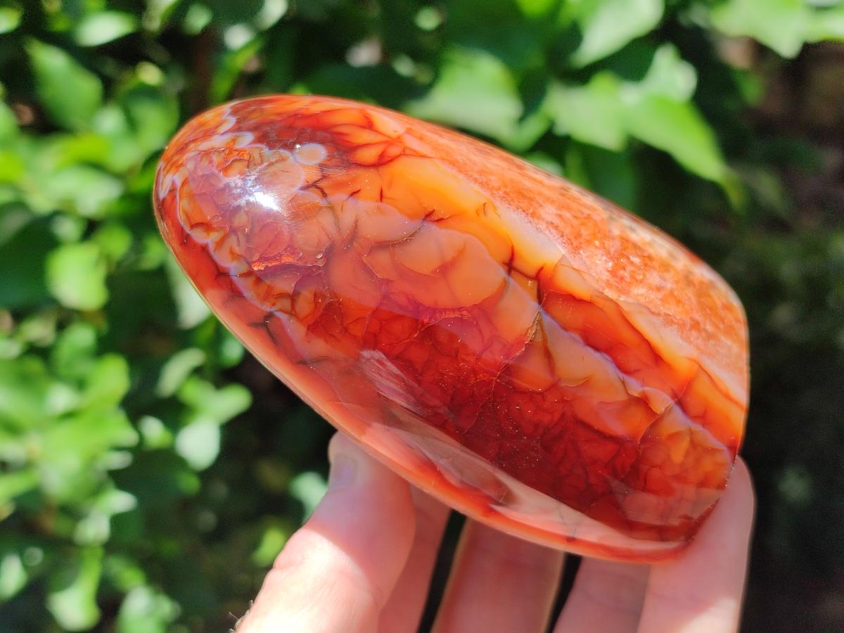 Polished Carnelian Agate Gemstone Standing Free Forms x 2 From Madagascar