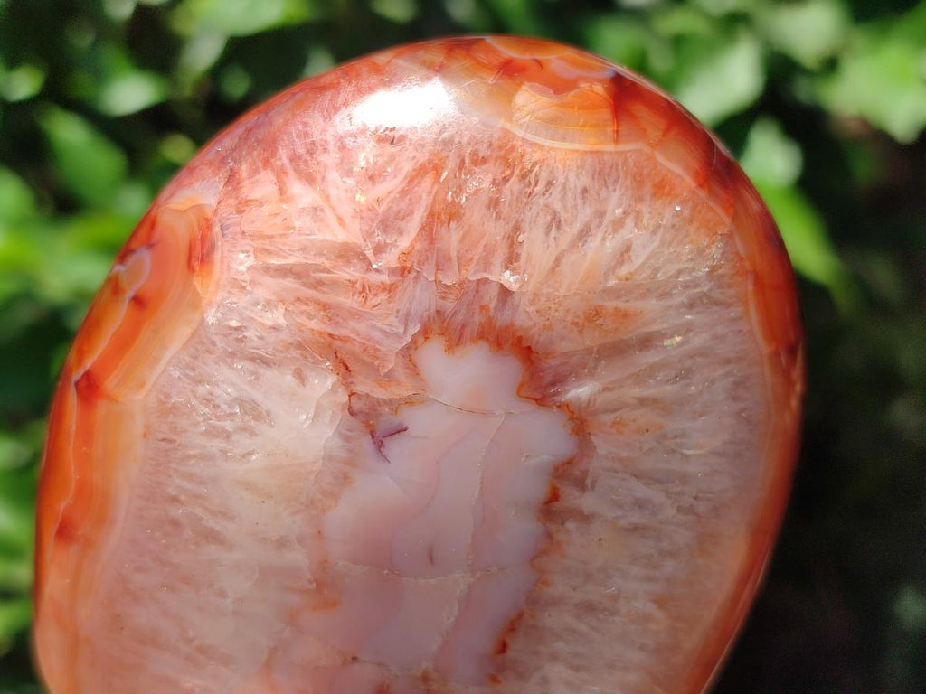 Polished Carnelian Agate Gemstone Standing Free Forms x 2 From Madagascar
