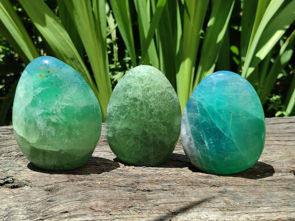 Polished Green Fluorite Standing Free Forms x 3 From Madagascar