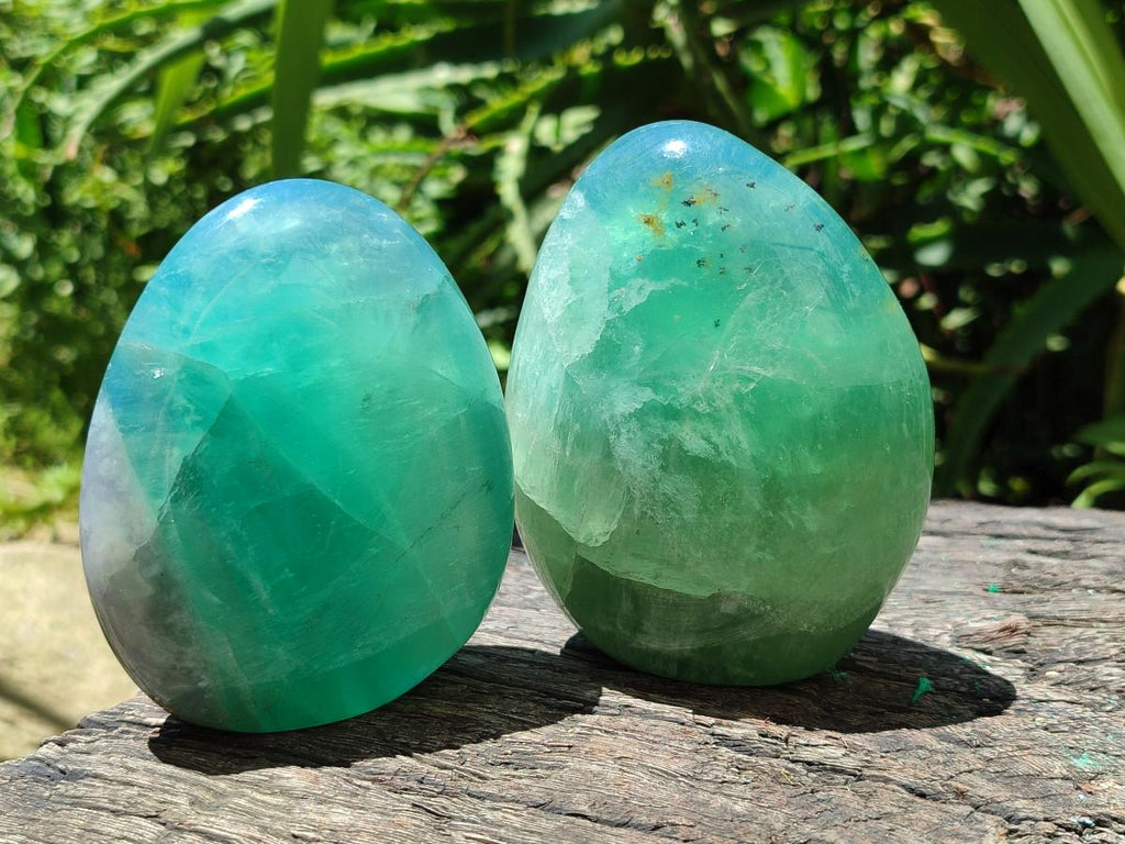 Polished Green Fluorite Standing Free Forms x 3 From Madagascar