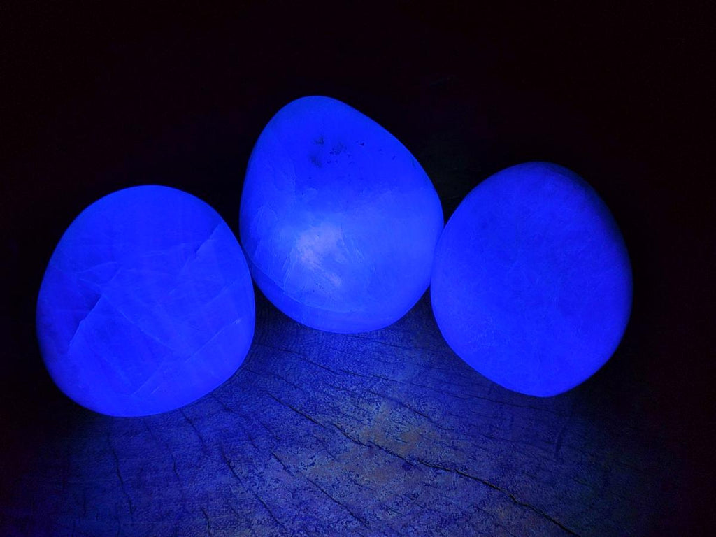 Polished Green Fluorite Standing Free Forms x 3 From Madagascar