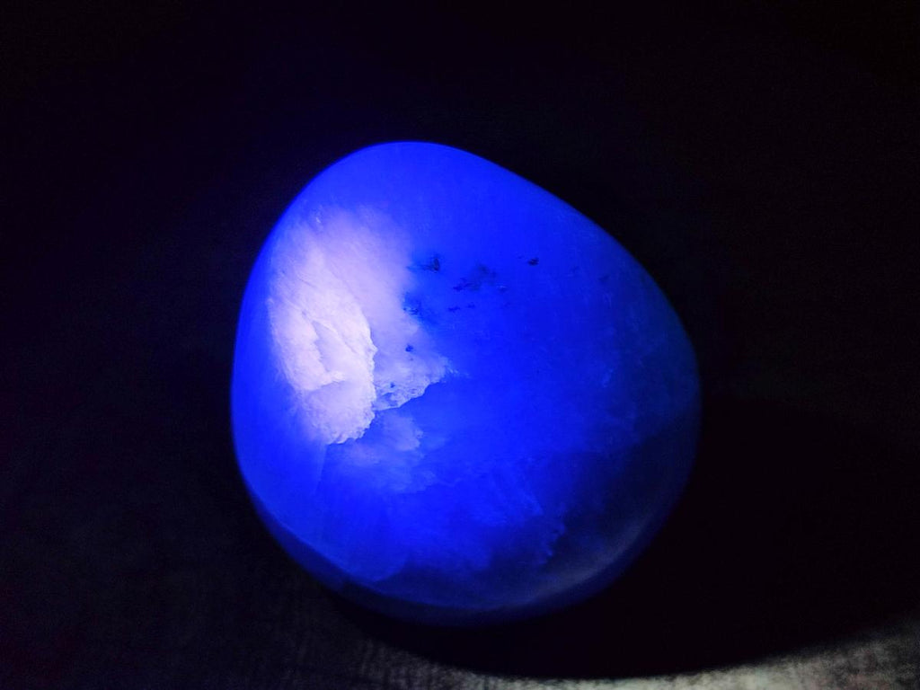 Polished Green Fluorite Standing Free Forms x 3 From Madagascar