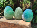 Polished Green Fluorite Standing Free Forms x 3 From Madagascar